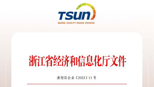 TSUNESS Awarded ' 2022 Innovation-Oriented Enterprise of Zhejiang Province'